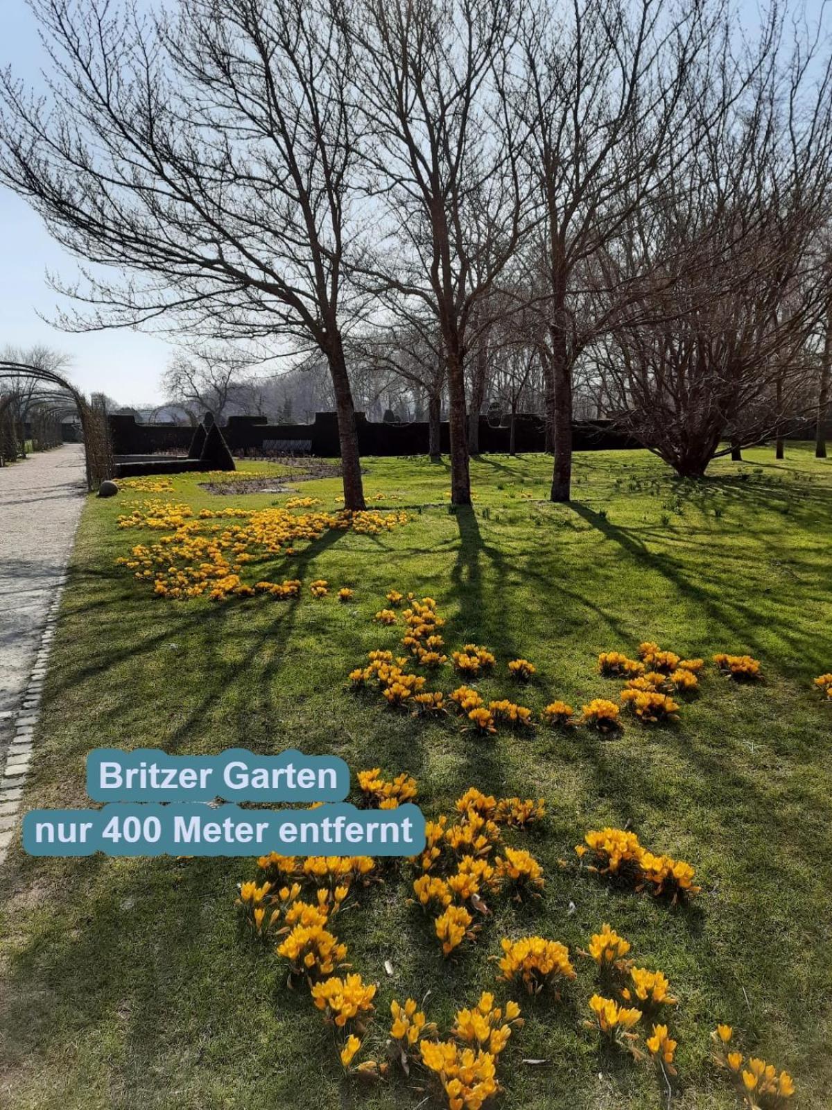 4 Sterne Souterrain Apartment Alt-Mariendorf Berlin Exterior photo
